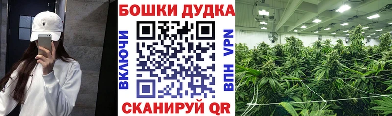 Канабис индика Волоколамск